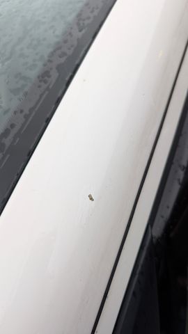 prop_20762_13